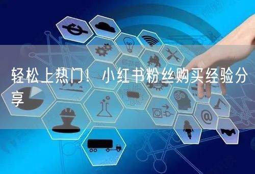 轻松上热门!小红书粉丝购买经验分享