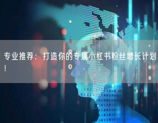 专业推荐:打造你的专属小红书粉丝增长计划!