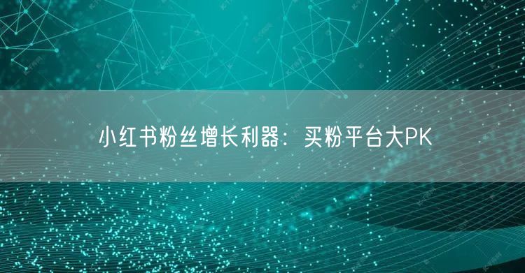小红书粉丝增长利器:买粉平台大PK