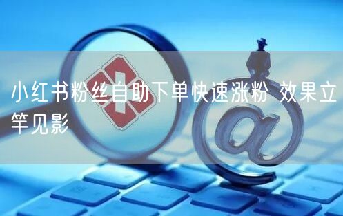 小红书粉丝自助下单快速涨粉 效果立竿见影