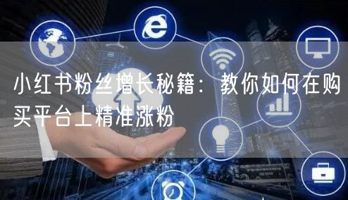 小红书粉丝增长秘籍:教你如何在购买平台上精准涨粉
