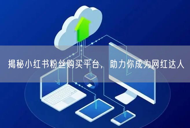 揭秘小红书粉丝购买平台,助力你成为网红达人
