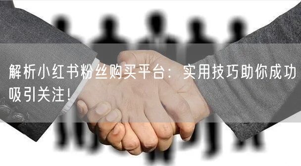 解析小红书粉丝购买平台:实用技巧助你成功吸引关注!